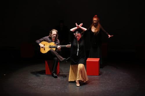 2016-10-26-1477451305-9322408-flamenco.jpg