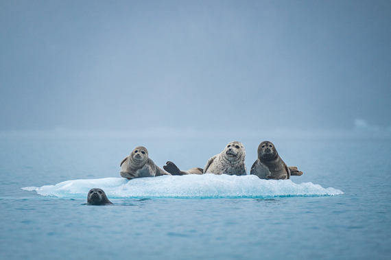 2016-11-02-1478097420-1476739-KenaiFjordsNationalPark032.jpg