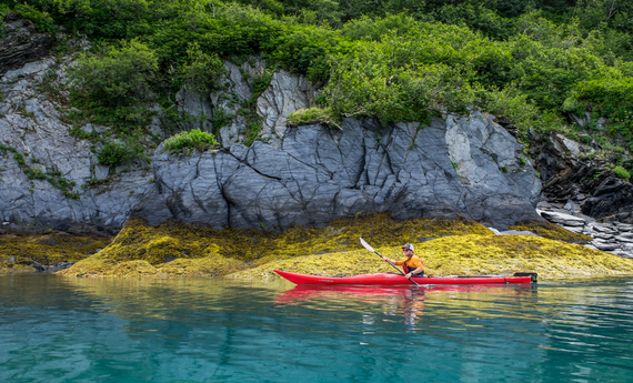 2016-11-02-1478098429-3351872-20160711JIKenaiFjordsNationalPark_DSF0171.jpg