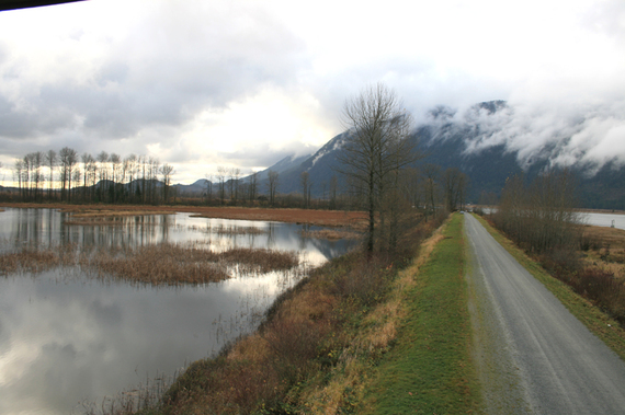 2016-11-10-1478789530-1429665-PittMeadows.jpg