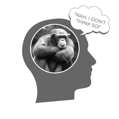 2016-11-11-1478861957-9702816-Chimp_brain.png