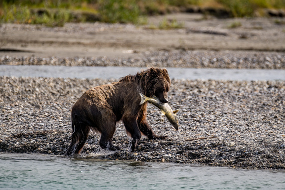 2016-11-20-1479669563-8436130-GatesoftheArcticNationalPark027.jpg