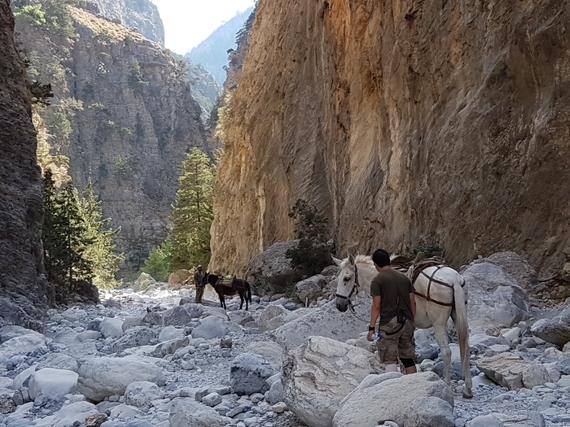2016-11-28-1480345069-1580500-Hiking_Samaria_Gorge_Crete_11_horses.jpg