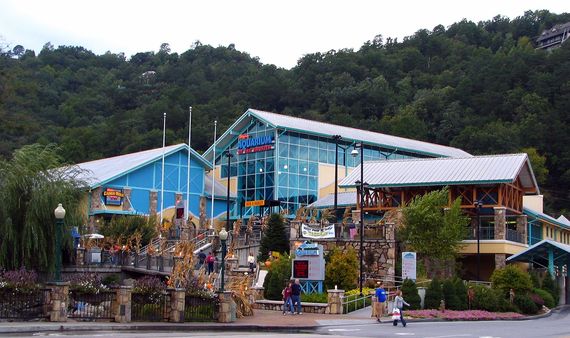 2016-11-30-1480487346-4802721-Aquarium_of_the_Smokies_2006.jpg