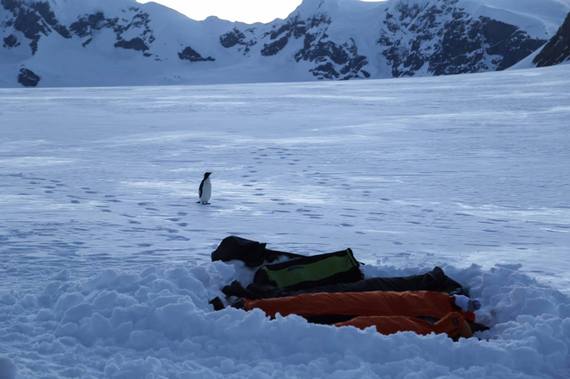 2016-12-06-1481057801-9650691-4ADVENTURES_JeremyKing_Antarctica_CampingPenguin.jpg