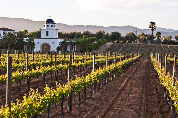 2017-01-06-1483660835-6339874-MexicoAdobe_guadalupe_winery_2.jpg