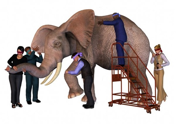 2017-01-16-1484537147-4070815-blind_elephant.jpg