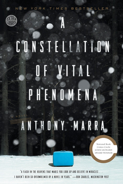 A Constellation of Vital Phenomena by Anthony Marra