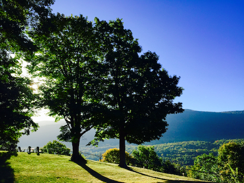 2017-02-10-1486727287-6968897-Summer_Trees_TL_Wilburton_Inn_VT.jpg