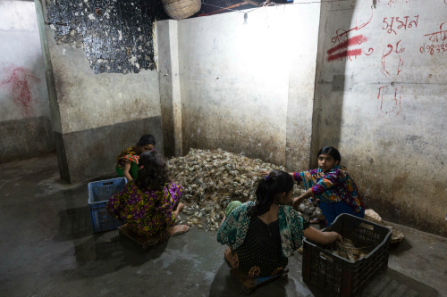 2017-04-24-1493048083-8796305-bangladeshsophiahsin7.jpg