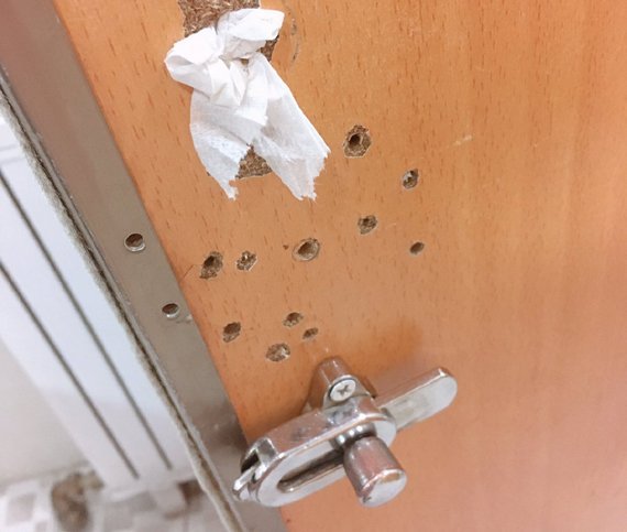 2017-08-04-1501838085-9551742-molca_toilet.jpg