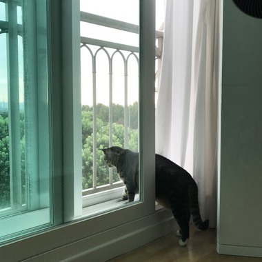 2017-09-20-1505898498-1728615-KakaoTalk_20170823_003939068.jpg