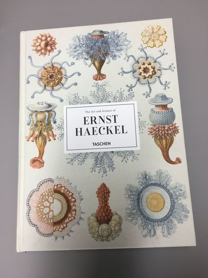 2017-11-25-1511612273-9045881-CoverHaeckel.jpg
