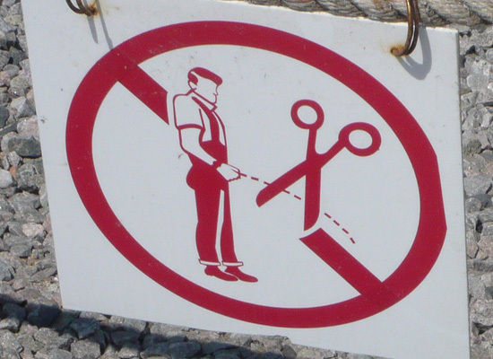 slide_5341_73229_large.jpg